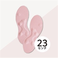 体幹先生(23㎝)