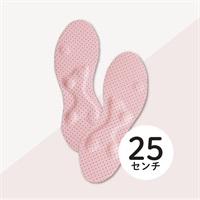 体幹先生(25㎝)