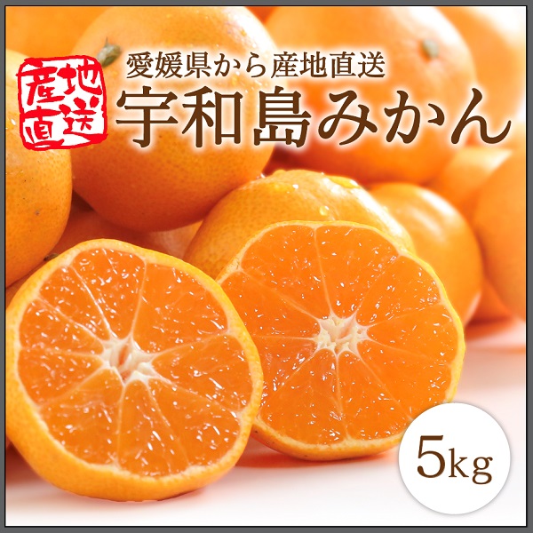 ※宇和島みかん 5kg