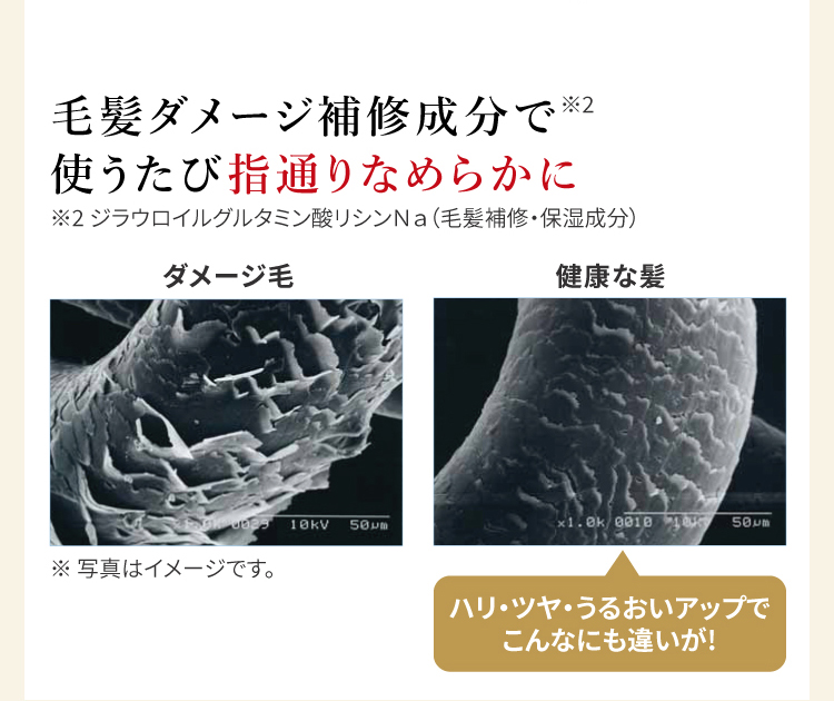 ヘアカラートリートメント｜【公式】愛しとーとオンライン