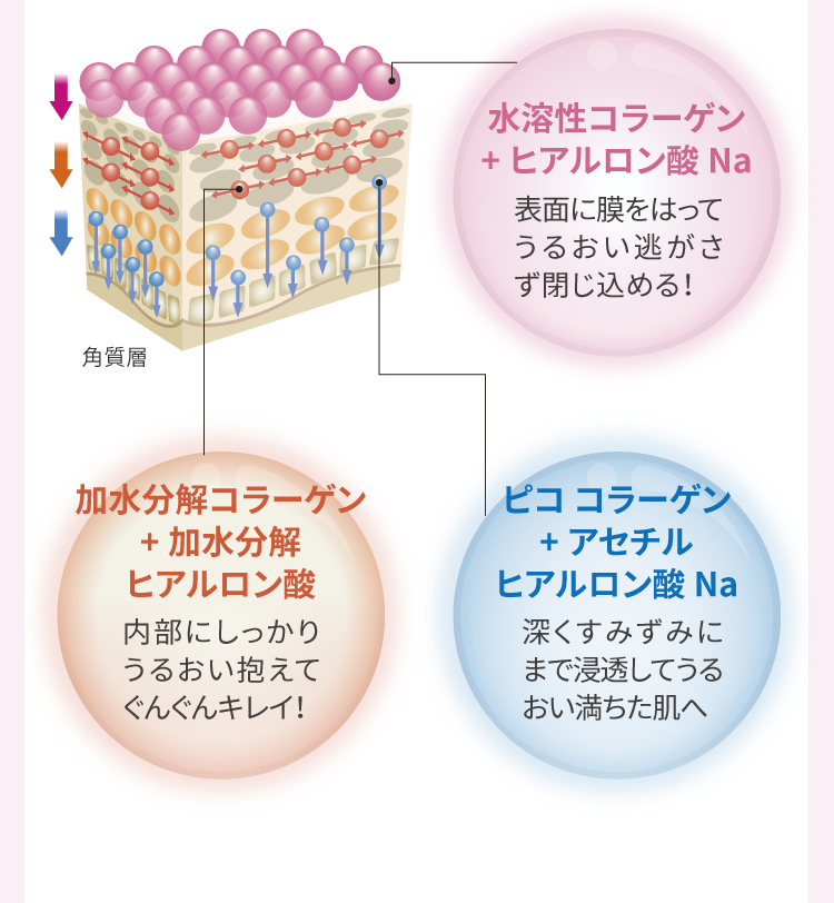 水溶性コラーゲン+ヒアルロン酸Na  加水分解コラーゲン+加水分解ヒアルロン酸　ピコ コラーゲン+アセチルヒアルロン酸Na