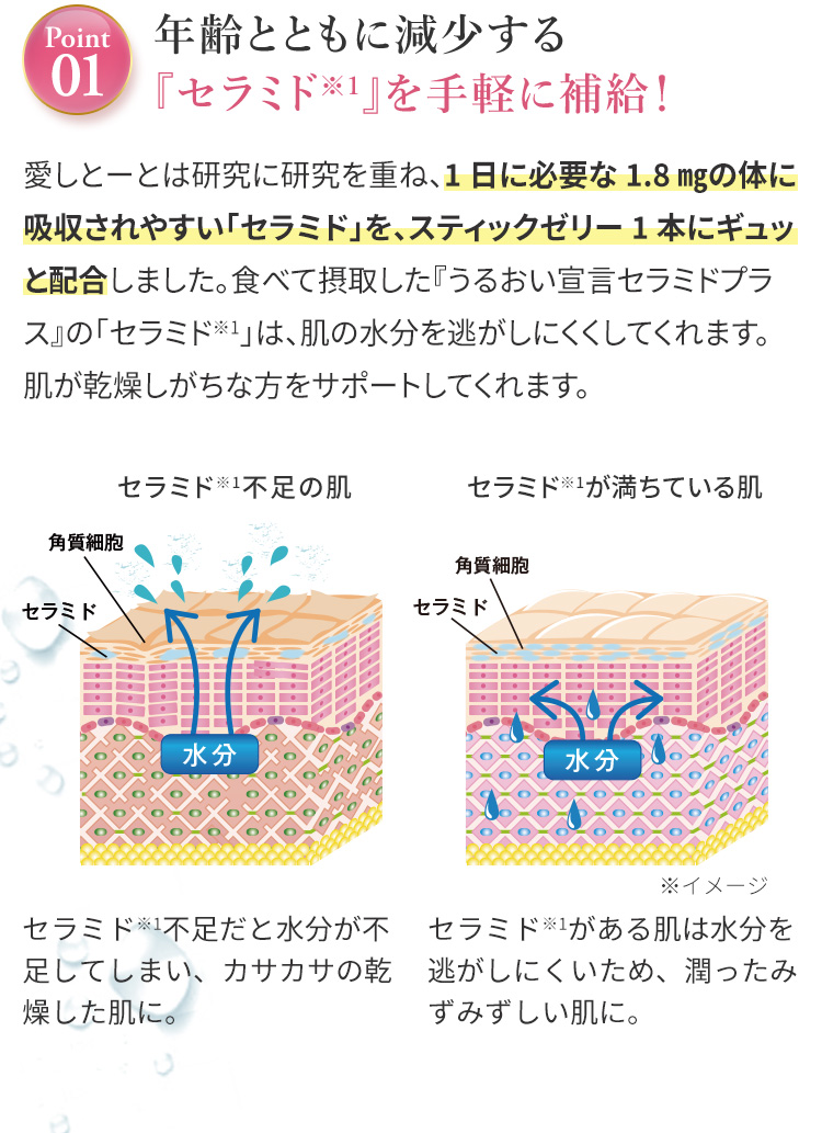 Ponit01:年齢とともに減少する『セラミド※1』を手軽に補給！