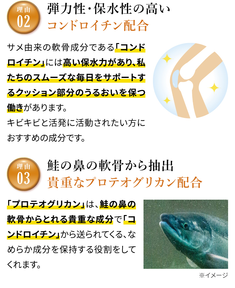 弾力性・保水性の高いコンドロイチン配合。鮭の鼻の軟骨から抽出貴重なプロテオグリカン配合。