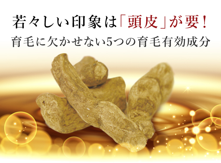 薬用リプレア育毛剤 ＥＸ｜【公式】愛しとーとオンラインショップ 