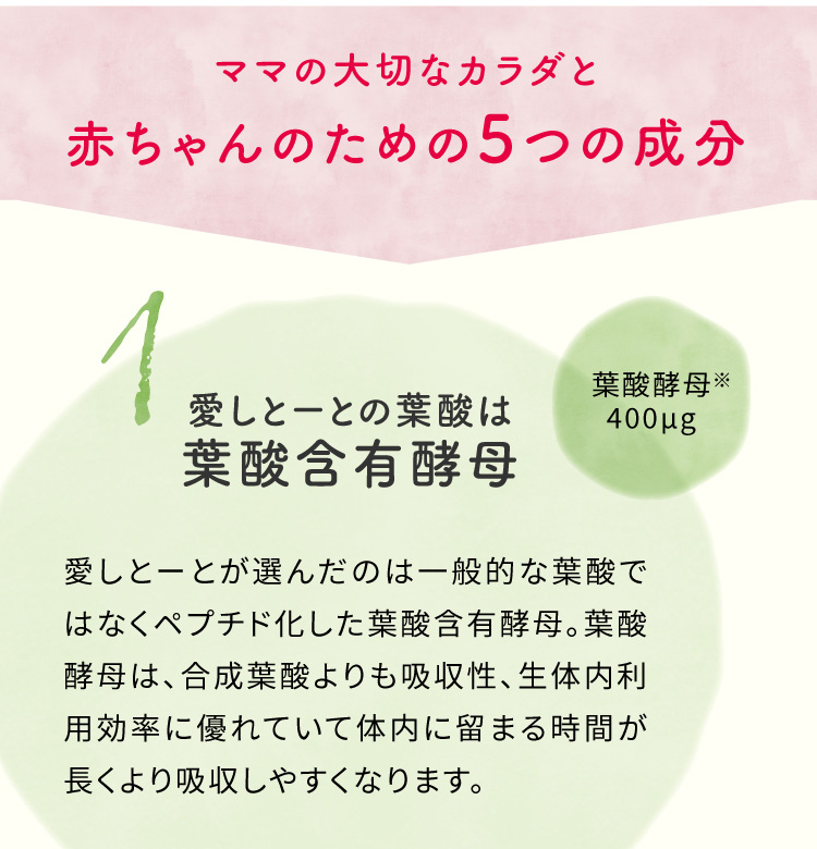ママの大切なカラダと赤ちゃんのための5つの成分　愛しとーとの葉酸は葉酸含有酵母