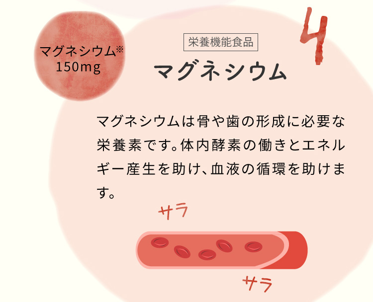 栄養機能食品　マグネシウム　マグネシウムは骨や歯の形成に必要な栄養素です。体内酵素の働きとエネルギー産生を助け、血液の循環を助けます。