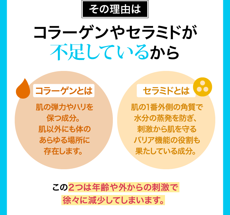 その理由はコラーゲンやセラミドが不足しているから