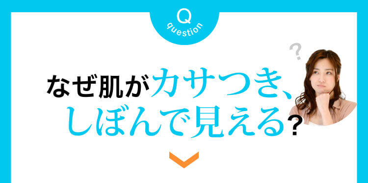 なぜ肌がカサつき、しぼんで見える？