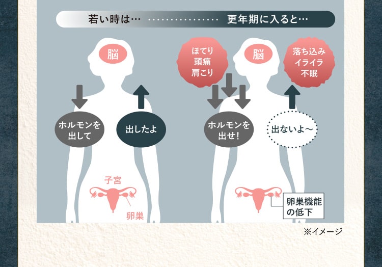 更年期に入るとバランスが崩れる