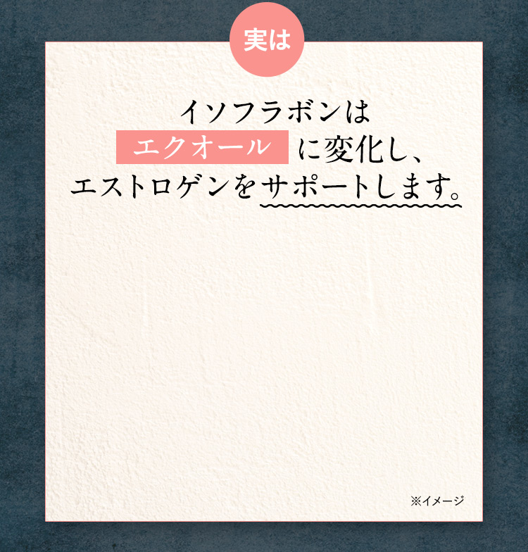 イソフラボンは「エクオール」に変化し、エストロゲンをサポートします。