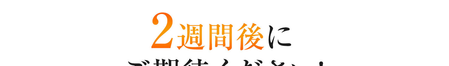 2週間後にご期待ください!