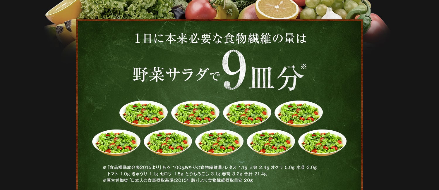 1日に本来必要な食物繊維の量は野菜サラダで9皿分