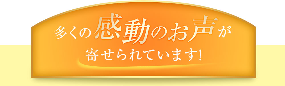 多くのご感動の声が寄せられています！