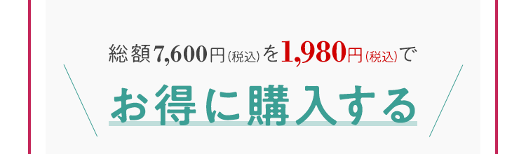 総額7,600円(税込)を1,980(税込)でお得に購入する