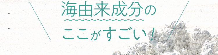 海由来成分のここがすごい！