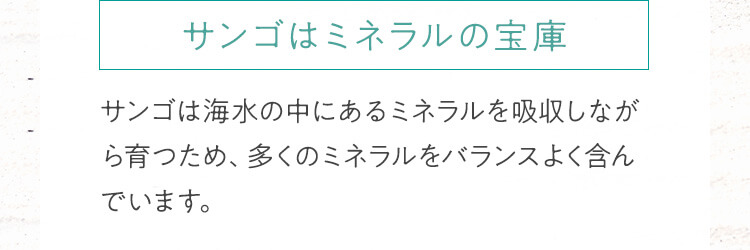 サンゴはミネラルの宝庫