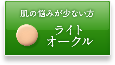 肌の悩みが少ない方ライトオークル