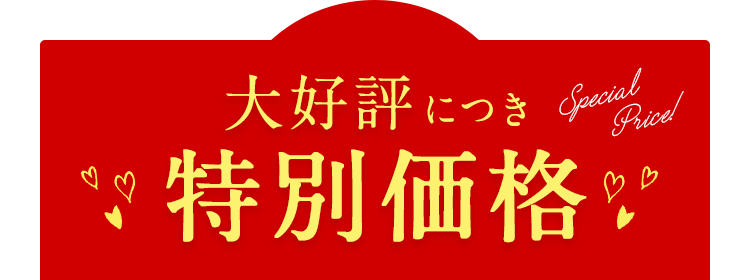 大好評につき特別価格