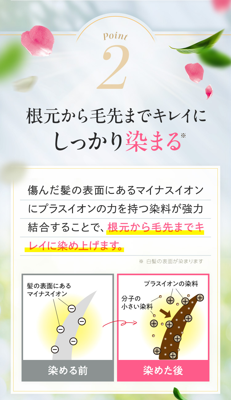 根元から毛先までキレイにしっかり染まる