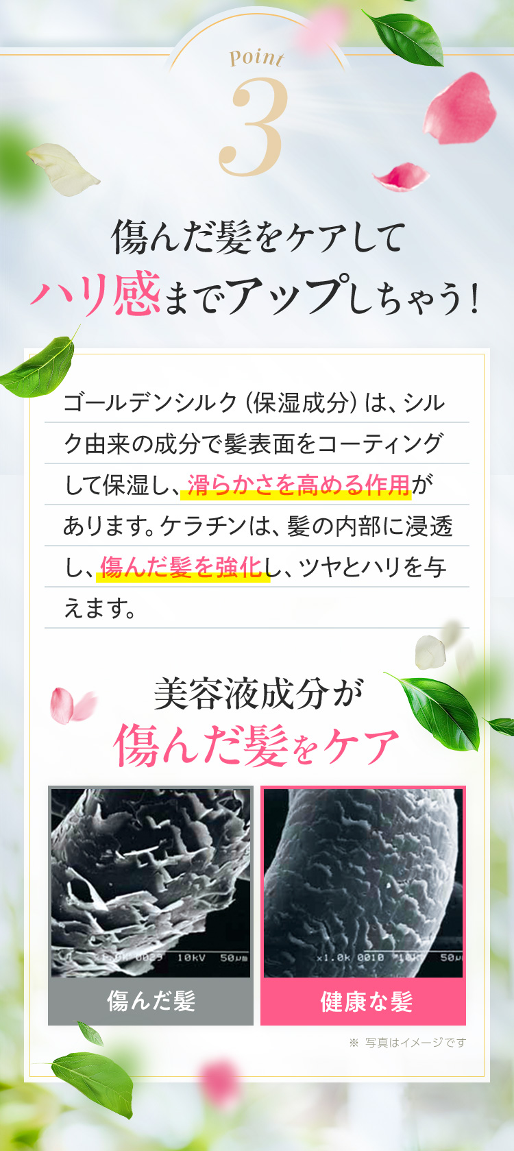 傷んだ髪をケアして ハリ感までアップしちゃう！