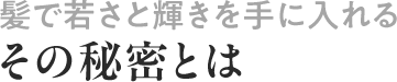 髪で若さと輝きを手に入れるその秘密とは