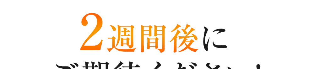 2週間後にご期待ください!