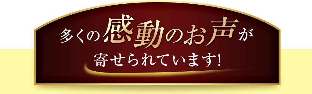多くのご感動の声が寄せられています！