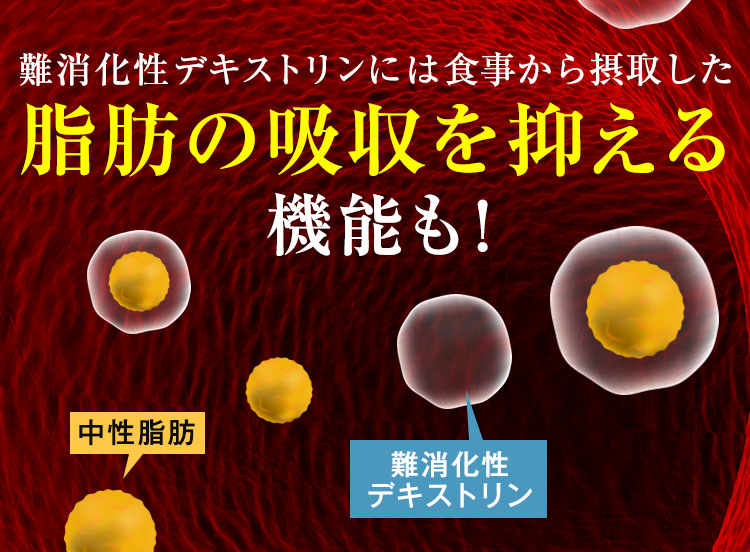 脂肪の吸収を抑える機能も!