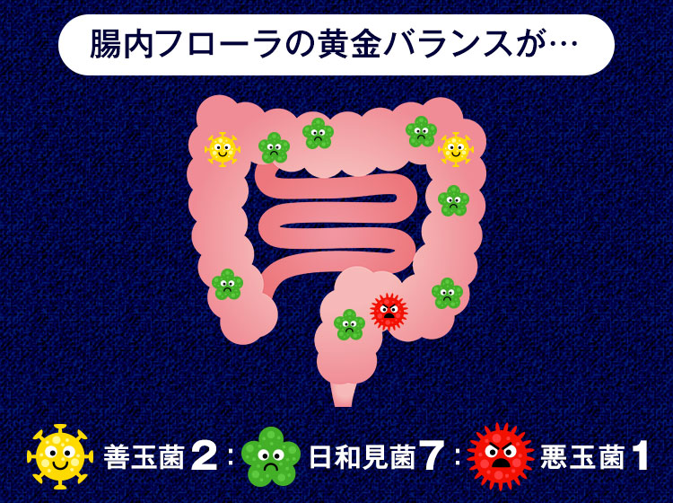 腸内フローラの黄金バランスが…