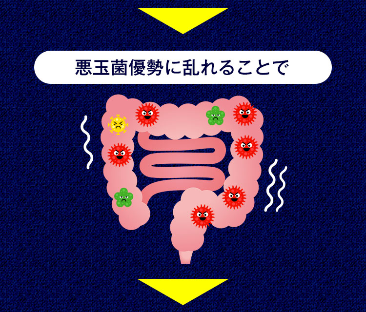 悪玉菌優勢に乱れることで