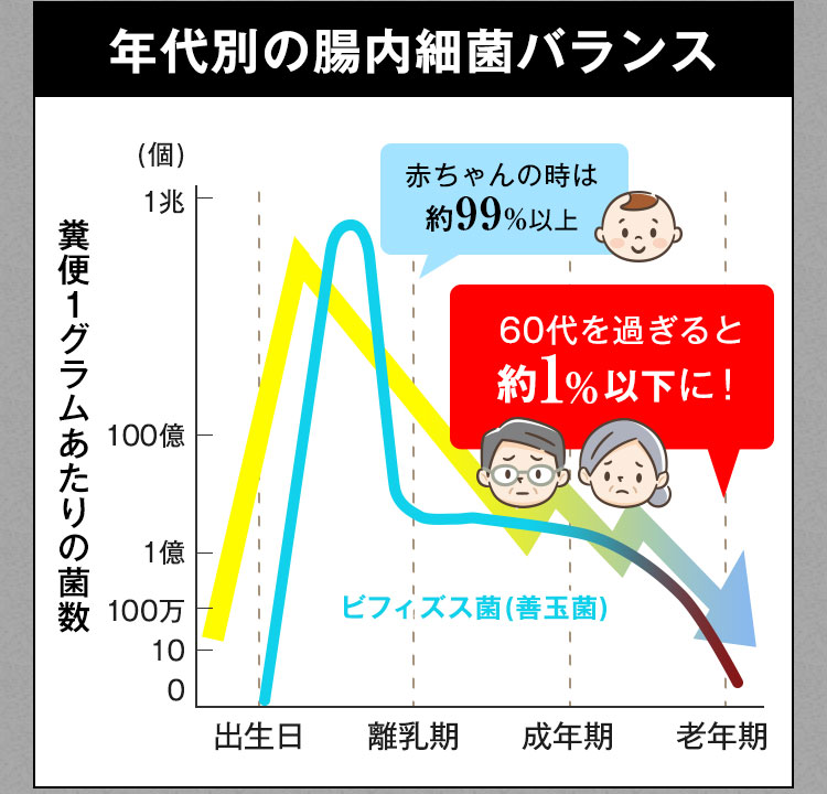 年代別の腸内細菌バランス