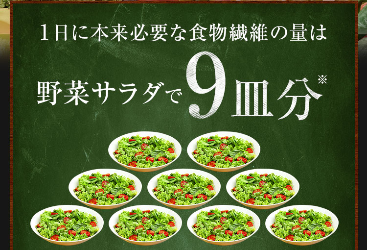 1日に本来必要な食物繊維の量は野菜サラダで9皿分