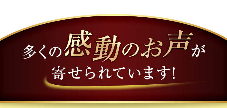 ご感動の声