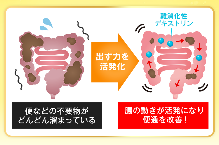 便などの不要物がどんどん溜まっている