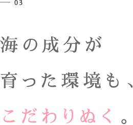 03 海の成分が育った環境も、こだわりぬく。