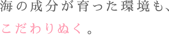 海の成分が育った環境も、こだわりぬく。