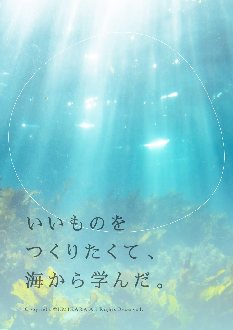 いいものをつくりたくて、海から学んだ。